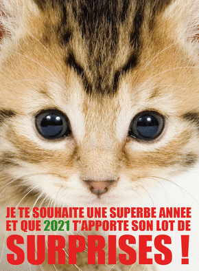 Carte Une superbe année 2021 et son lot de surprises Carte de voeux 2021 chat mignon