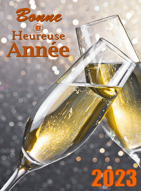 Carte Heureuse année 2023 bien arrosée Carte de voeux et champagne en 2023