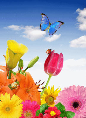 Carte Papillon bleu dans les fleurs Carte postale de Juillet et d'été
