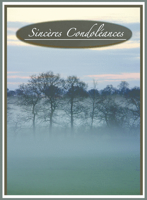 Carte Des arbres dans la brume Carte condoléances