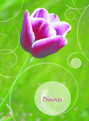 Carte Bisous avec une jolie fleur Carte saint valentin