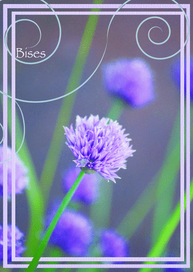 Carte Bises avec une fleur violette Carte pour dire bonjour