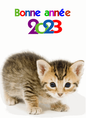 Carte Le chaton bonne année 2023  Carte de voeux 2023 chat mignon