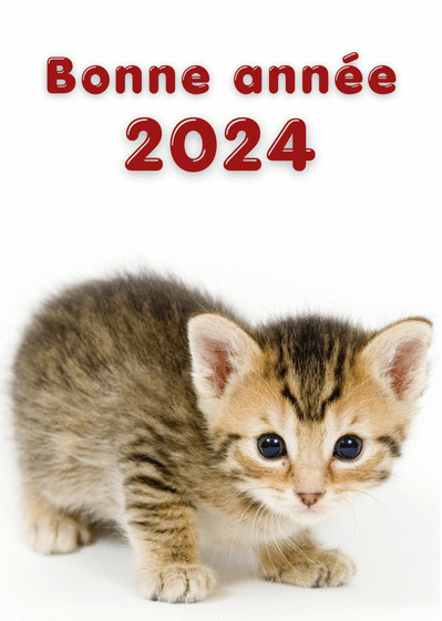 Carte Le chaton bonne année 2024  Carte de voeux 2024 chat mignon