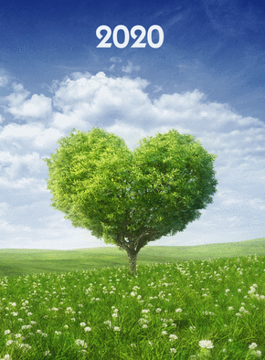 Un coeur d`arbre pour la nouvelle ann&eacute;e 2020 