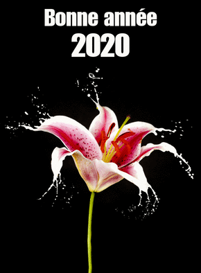 bonne ann&eacute;e 2020 et goutelettes
