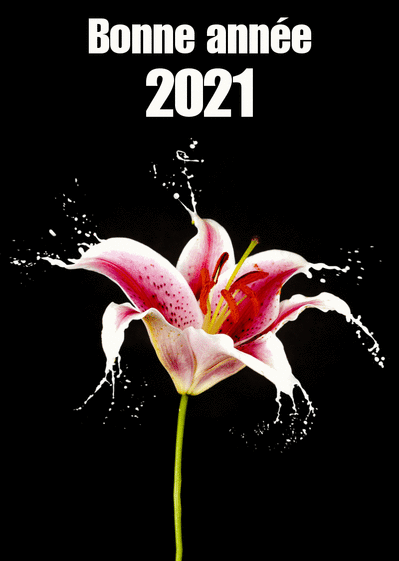 Carte bonne année 2021 et goutelettes Carte de voeux 2021 avec des fleurs