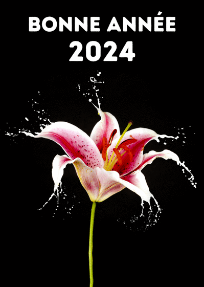 Carte bonne année 2024 et goutelettes Carte de voeux 2024 avec des fleurs
