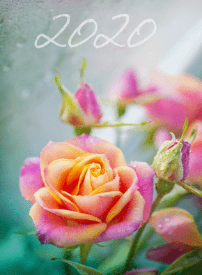 nouvelle ann&eacute;e 2020 sur de la bu&eacute;e