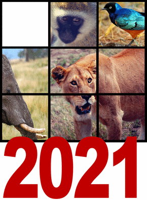 Carte Les voeux 2021 personnalisables des animaux Carte de voeux personnalisable 2021