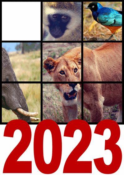 Carte Les voeux 2022 personnalisables des animaux Carte de voeux personnalisable 2022