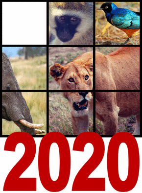 Les voeux personnalisables des animaux