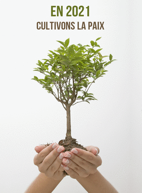 Carte Cultivons la paix Pour l`année 2021 Carte de voeux 2021 et message de paix