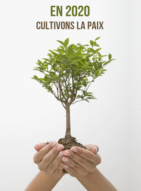 Cultivons la paix