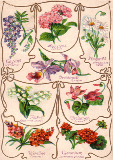 Carte Signification des fleurs Carte ancienne Saint Valentin