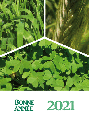 Carte bonne année 2021 de verdure Carte de voeux entreprise bâtiment 2021