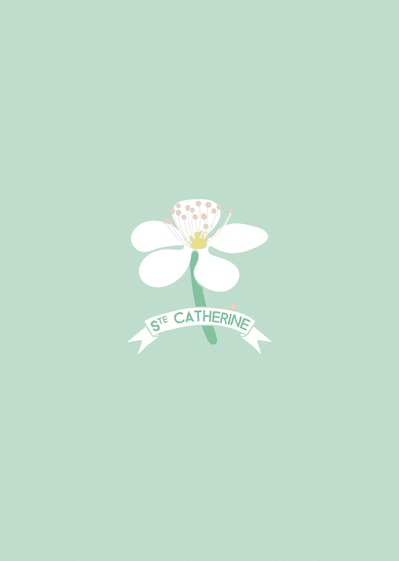Carte La fleur blanche de Ste Catherine Carte sainte Catherine