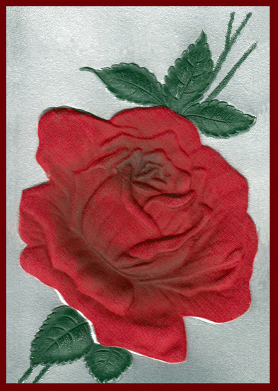 Carte Une belle et grosse rose rouge Carte condoléances ancienne