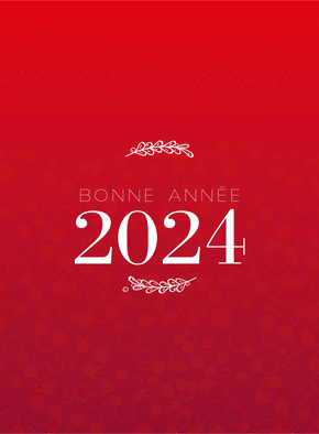 Carte Bonne année 2024 et discrètes bulles Carte de voeux entreprise classique