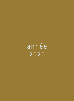 nouvelle ann&eacute;e 2020 tout simplement