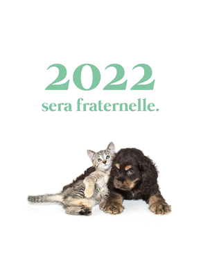 Carte Une année 2022 fraternelle Carte de voeux 2022 chat mignon