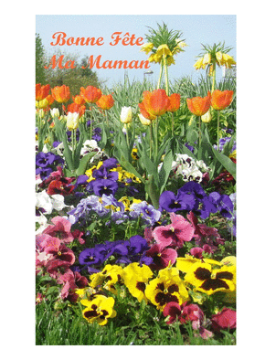Carte Bonne fete ma maman et champs de fleurs Carte fête des mères avec des fleurs