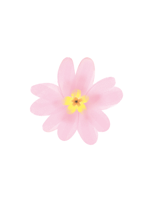 Carte Une fleur rose pour mamie Carte personnalisée fête des mamies