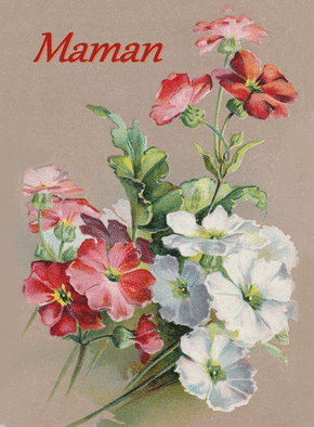 Carte Fleurs blanches et rouges pour maman Carte fête des mères avec des fleurs