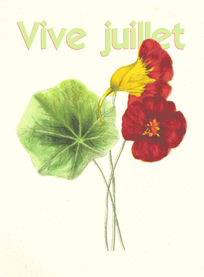 Carte Vive Juillet et jolie fleur Carte postale de Juillet et d'été