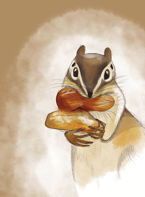 Carte Un écureuil et ses noisettes Carte d'octobre