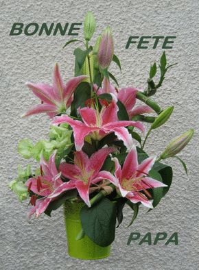 Carte Pot de fleurs pour le fete des peres Carte de fête des pères