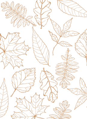 Carte Feuilles d'automne en octobre Carte d'octobre