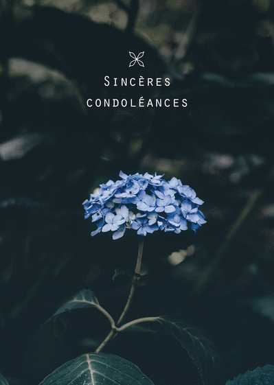 Carte Condoléances et fleur bleu Carte condoléances fleurs