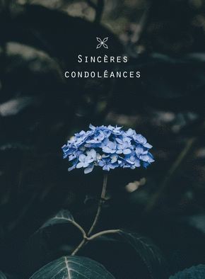 Carte Condoléances et fleur bleu Carte condoléances fleurs