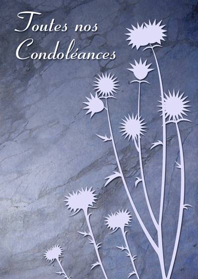 Carte Toutes nos condoleances et chardons Carte condoléances fleurs