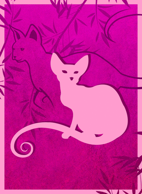 Carte Chat sur fond rose Carte chat et chaton