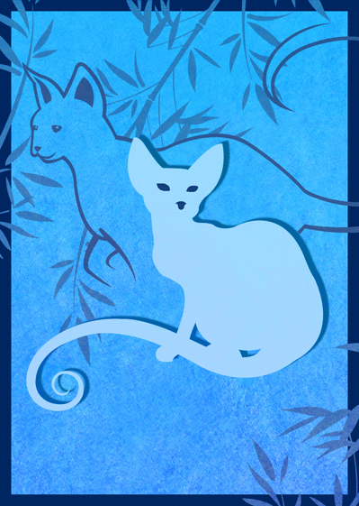 Carte Chat sur fond bleu Carte chat et chaton