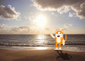 Carte  postale un chat à la plage Carte postale de Juillet et d'été