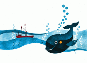 Carte  postale baleine bleue joueuse Carte postale de Juillet et d'été