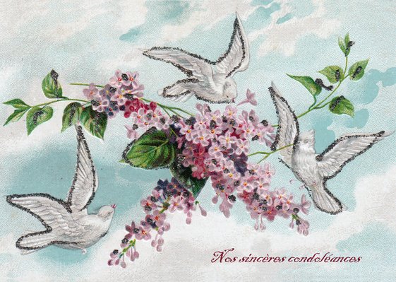 Carte Condoléances et colombes blanches Carte condoléances ancienne