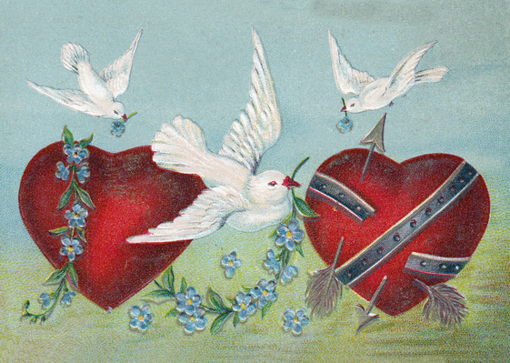 Carte Les oiseaux de l`amour Carte ancienne Saint Valentin