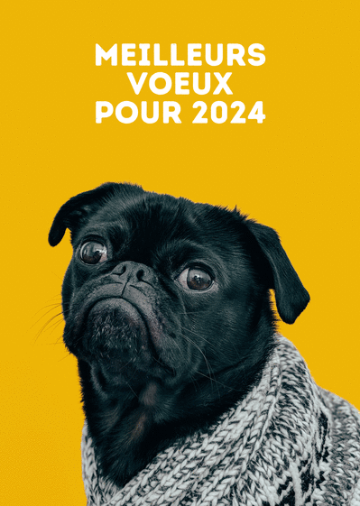 Carte Meilleurs voeux de toutou fond jaune Carte de voeux entreprise humour 2023