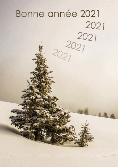 Carte Sapin enneigé pour la bonne année 2021 Carte de voeux Nature 2021
