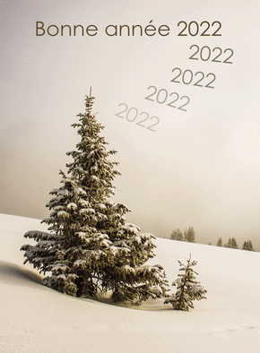 Carte Sapin enneigé pour la bonne année 2022 Carte de voeux Nature 2022