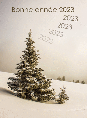 Carte Sapin enneigé pour la bonne année 2023  Carte de voeux Nature 2023
