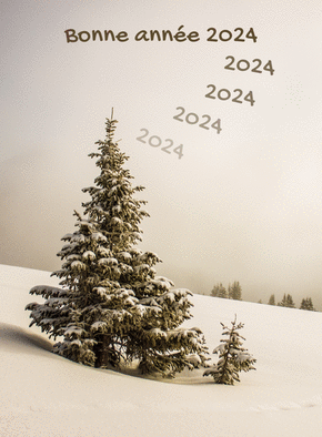 Carte Sapin enneigé pour la bonne année 2024  Carte de voeux Nature 2024