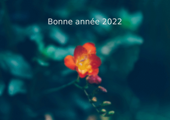 Carte Hibiscus de la bonne année 2022 Carte de voeux 2022 avec des fleurs