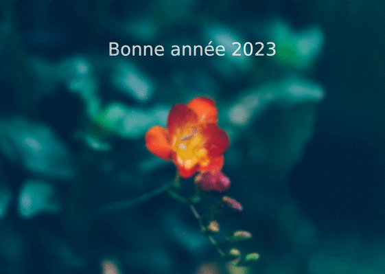 Carte Hibiscus de la bonne année 2023  Carte de voeux 2023 avec des fleurs