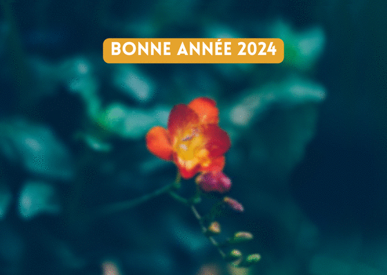 Carte Hibiscus de la bonne année 2024  Carte de voeux 2024 avec des fleurs