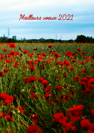 Carte Meilleurs voeux 2021 et coquelicots Carte de voeux 2021 avec des fleurs